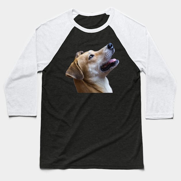 i love dog Baseball T-Shirt by rickylabellevie